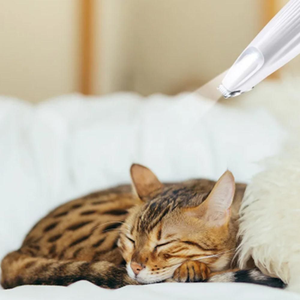 Dog Paw Trimmer with LED Light Rechargeable Pet Hair Clippers for Small