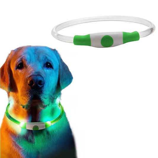 Light-Up Pet Dog Collars USB Rechargeable Pet Collar Adjustable Size