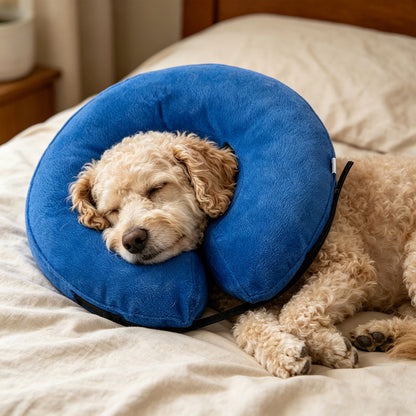 Inflatable Dog Cone Collar Alternative | Size XL