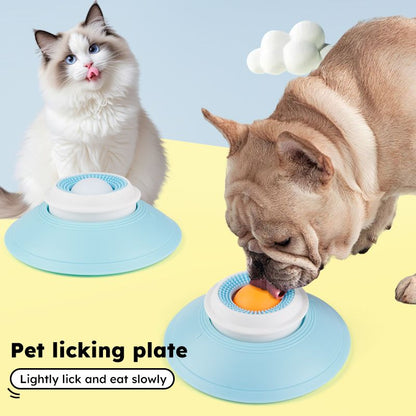 Pet Slow Feeder Bowl | Non-Slip Puzzle Feeder | Cat & Dog