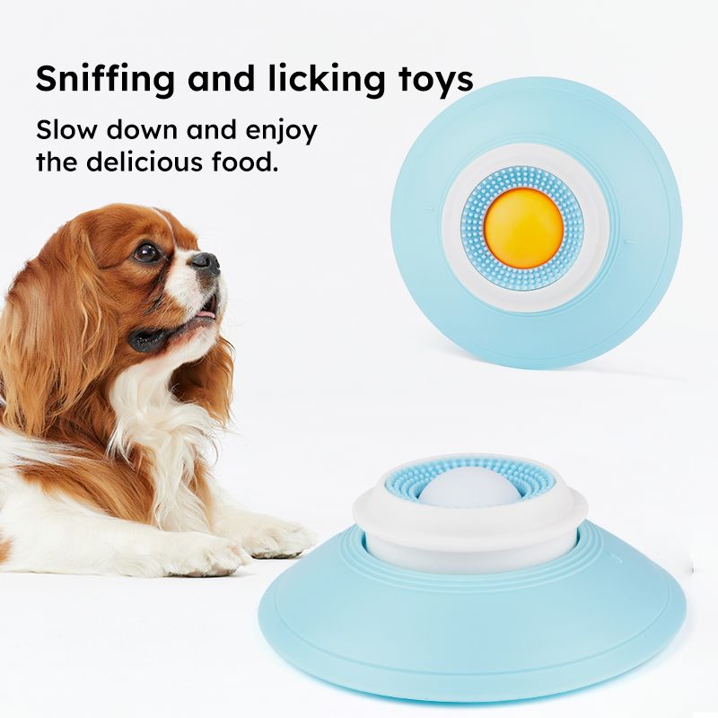 Pet Slow Feeder Bowl | Non-Slip Puzzle Feeder | Cat & Dog