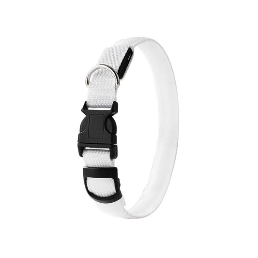 Pet LED Light-Up Collar, Large | White