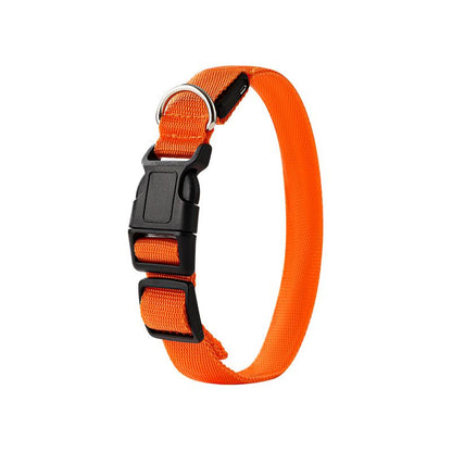 LED Light-Up Pet Collar, Large | Orange