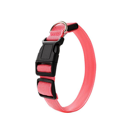 Pet LED Light-Up Collar, Large
