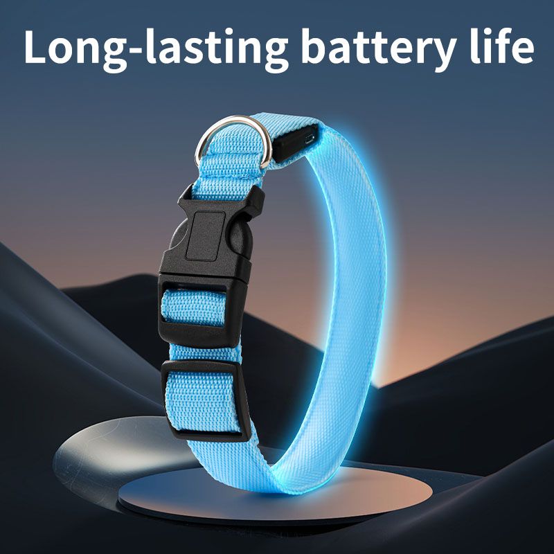 Pet LED Light-Up Collar, Large