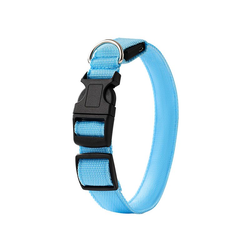 LED Light-Up Pet Collar, Large