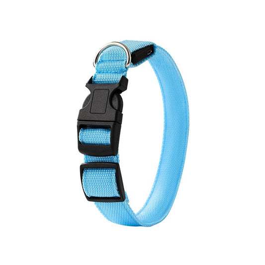 LED Light-Up Pet Collar, Large