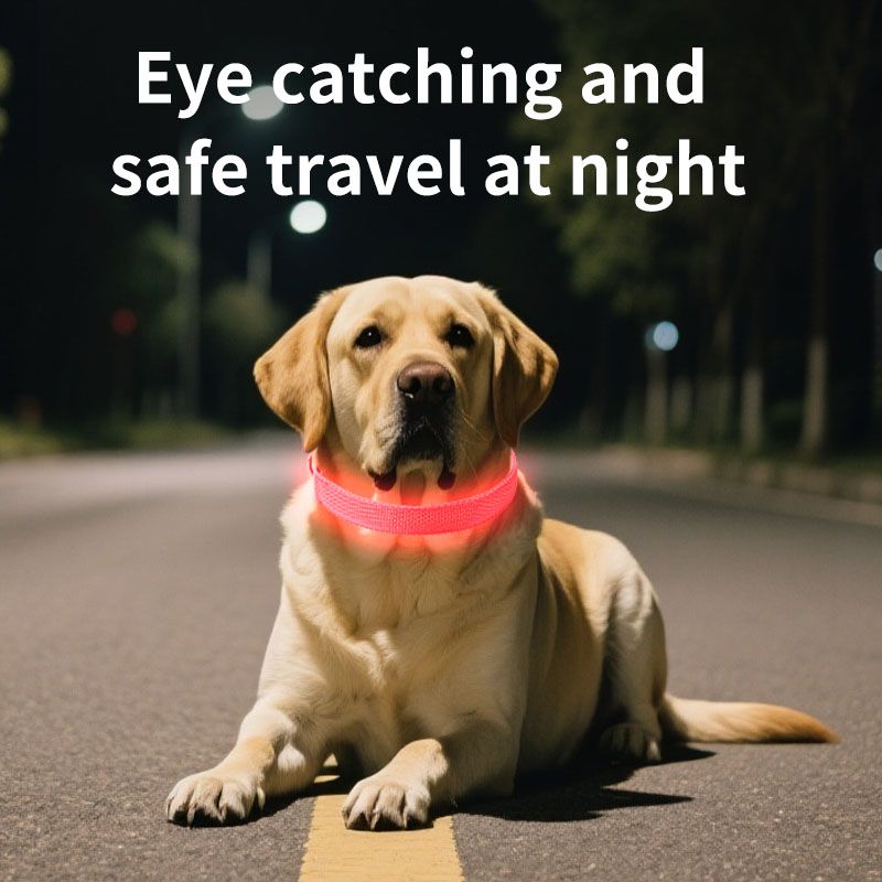 LED Light-Up Pet Collar, Large