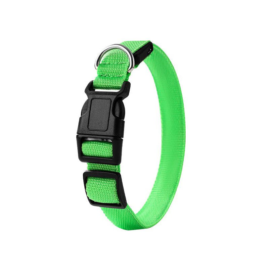 Pet LED Light-Up Collar, Large | Green