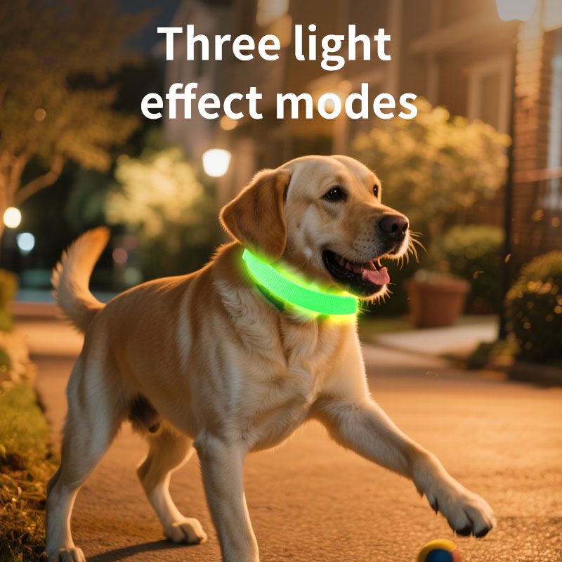 Pet LED Light-Up Collar, Large | Green