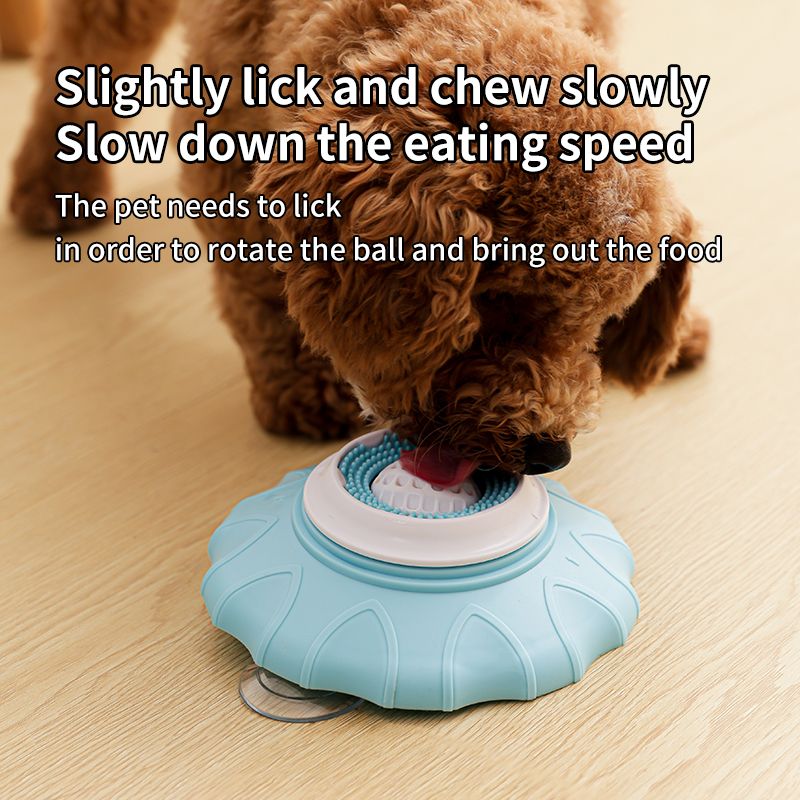Pet Slow Feeder Bowl | Non-Slip Puzzle Feeder | Cat & Dog | Blue