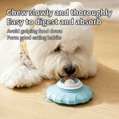 Pet Slow Feeder Bowl | Non-Slip Puzzle Feeder | Cat & Dog | Blue