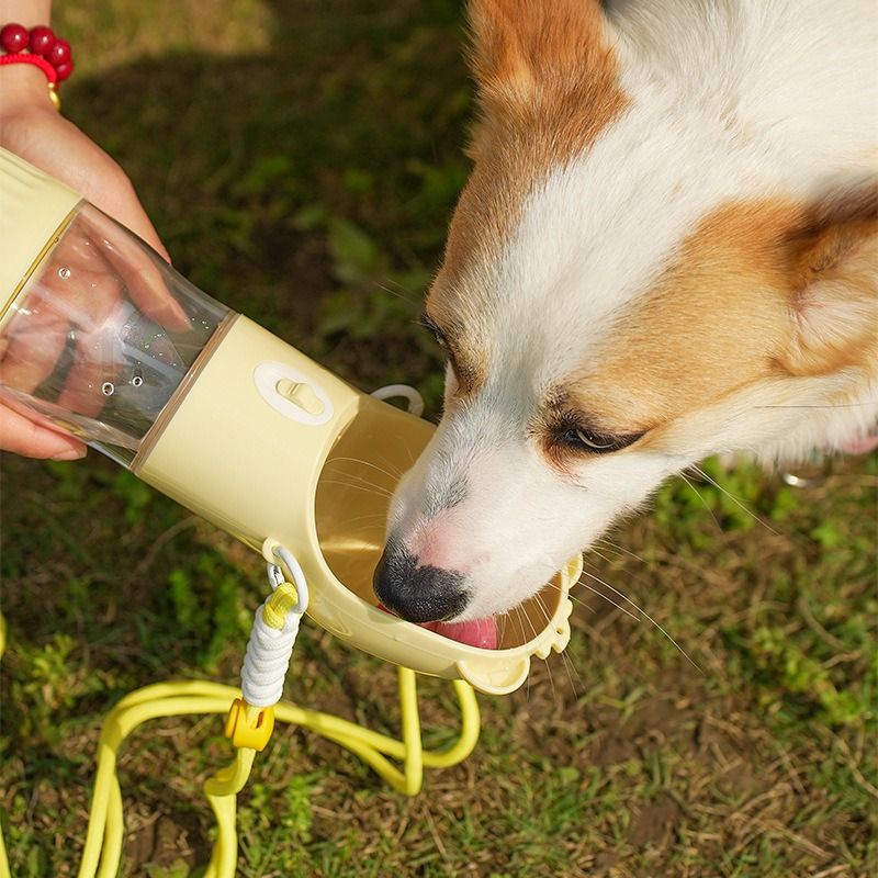 All-in-One Water and Food Pet Travel Cup | White