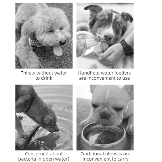 All-in-One Water and Food Pet Travel Cup