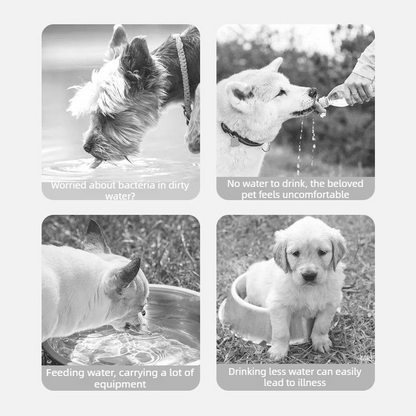 Portable Outdoor Pet Water Cup | 350ml | Yellow