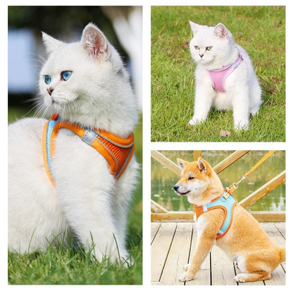 Breathable Reflective Pet Harness Set: Vest-Style Dog Harness + Leash | Blue-L