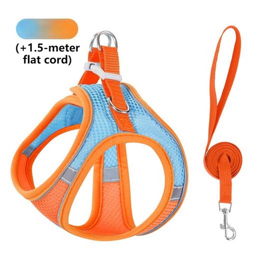 Breathable Reflective Pet Harness Set: Vest-Style Dog Harness + Leash | Blue-S (2)