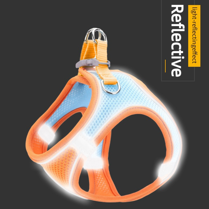 Breathable Reflective Pet Harness Set: Vest-Style Dog Harness + Leash | Blue-L (2)