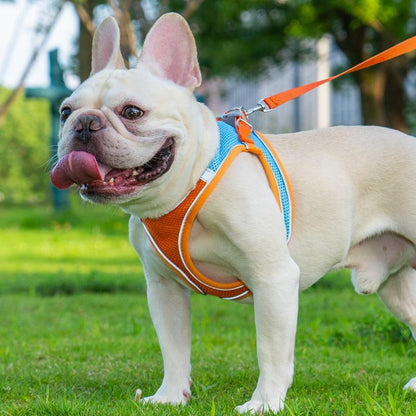 Breathable Reflective Pet Harness Set: Vest-Style Dog Harness + Leash | Blue-L (2)