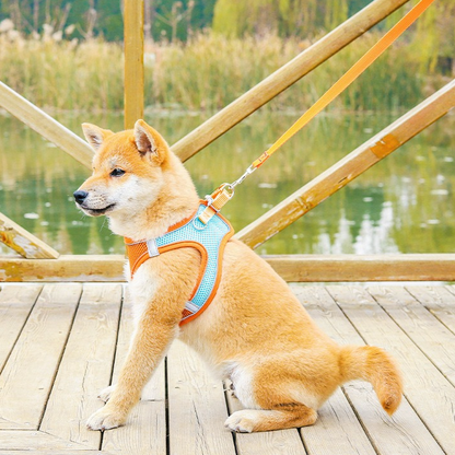 Breathable Reflective Pet Harness Set: Vest-Style Dog Harness + Leash | Blue-M (3)