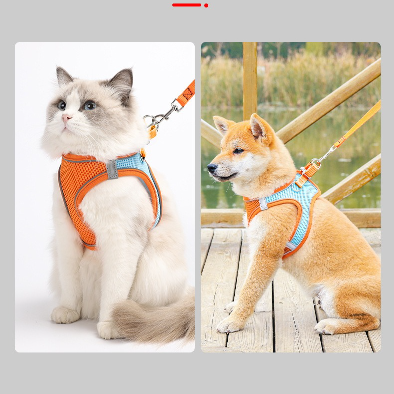 Breathable Reflective Pet Harness Set: Vest-Style Dog Harness + Leash | Blue-M (3)