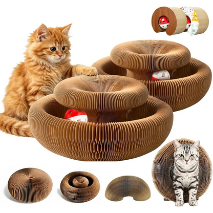 Accordion Cat Scratcher 2-Pack | Corrugated Cardboard | With Ball Toy