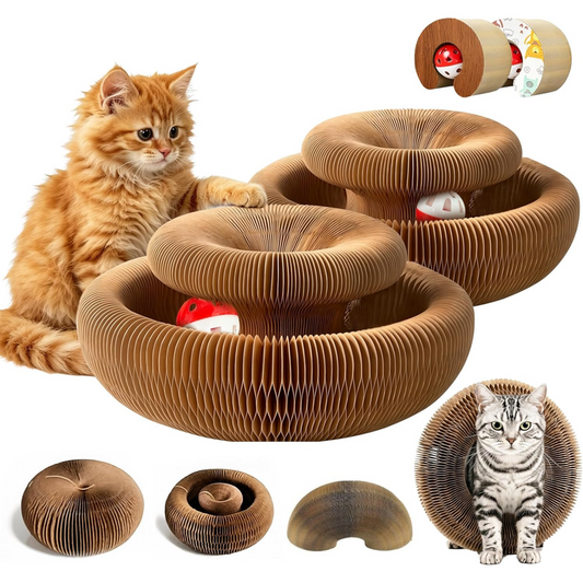 Accordion Cat Scratcher 2-Pack | Corrugated Cardboard | With Ball Toy