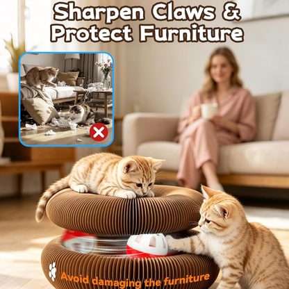 Accordion Cat Scratcher 2-Pack | Corrugated Cardboard | With Ball Toy