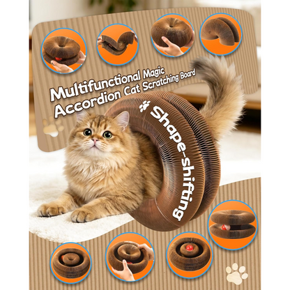 Accordion Cat Scratcher 2-Pack | Corrugated Cardboard | With Ball Toy