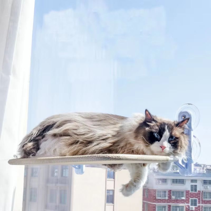 Foldable Window Mount Cat Hammock | All Season