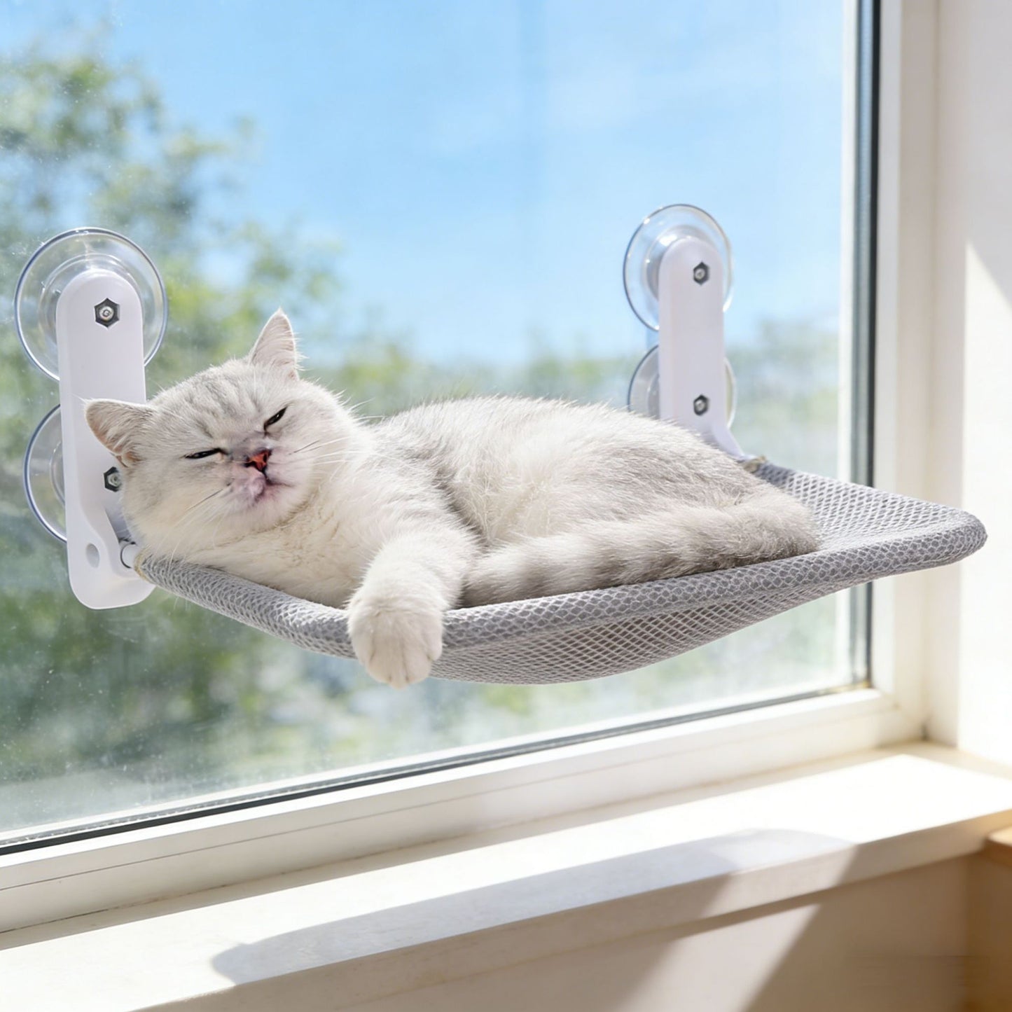 Foldable Window Mount Cat Hammock | All Season