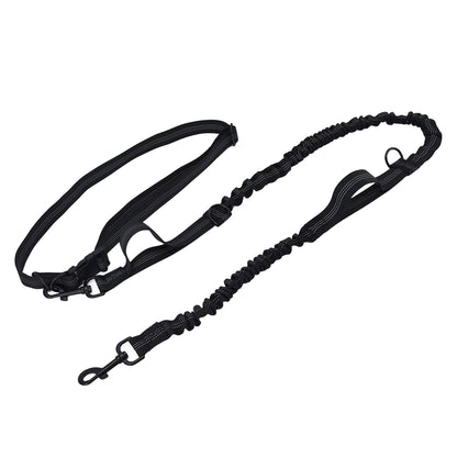 Reflective Retractable Pet Leash | Adjustable Dog Traction Rope