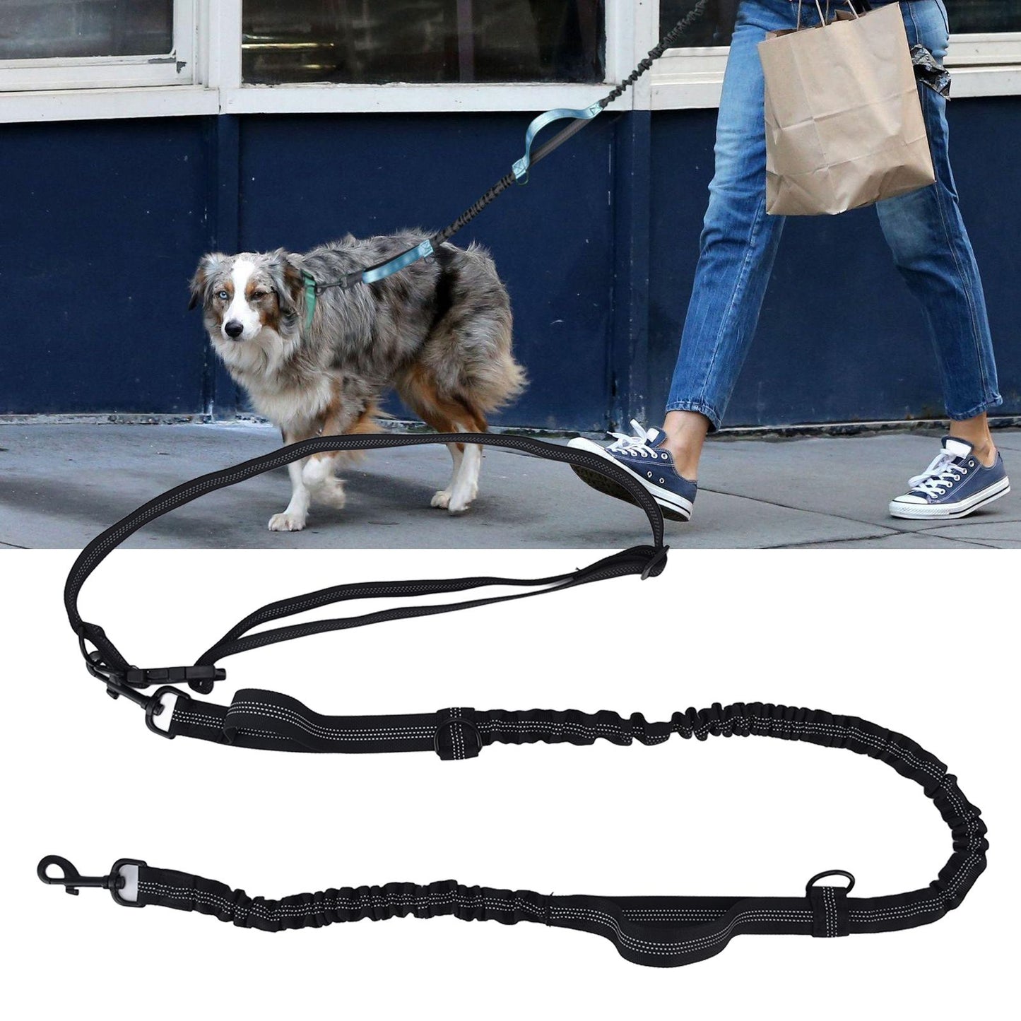 Reflective Retractable Pet Leash | Adjustable Dog Traction Rope