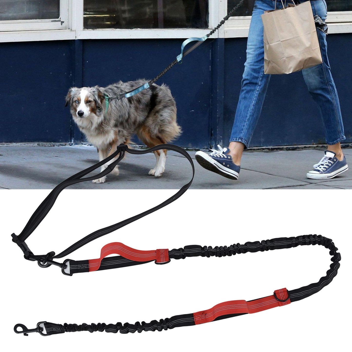 Reflective Retractable Pet Leash | Adjustable Dog Traction Rope | Red