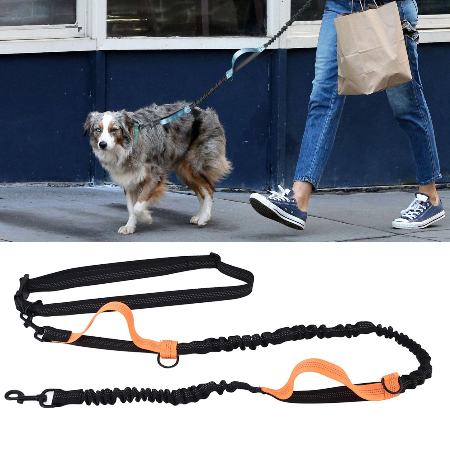 Pet Leash Reflective Retractable Portable Adjustable Dog Traction Rope