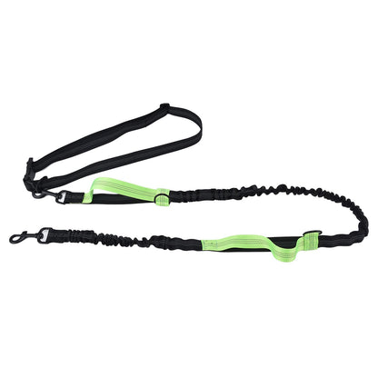 Reflective Retractable Pet Leash | Green