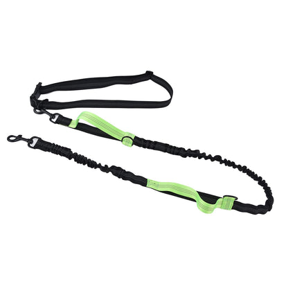 Reflective Retractable Pet Leash | Green