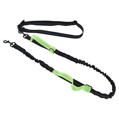 Reflective Retractable Pet Leash | Green