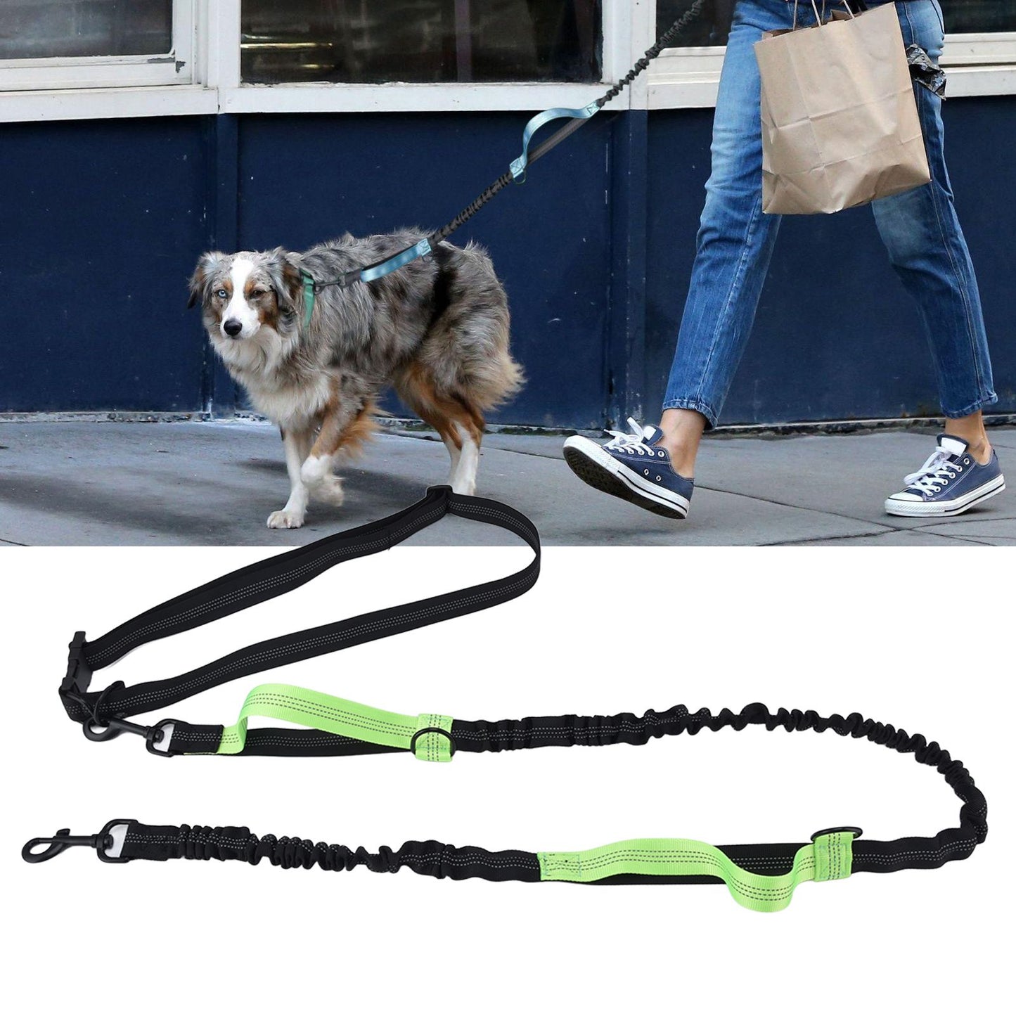 Reflective Retractable Pet Leash | Green