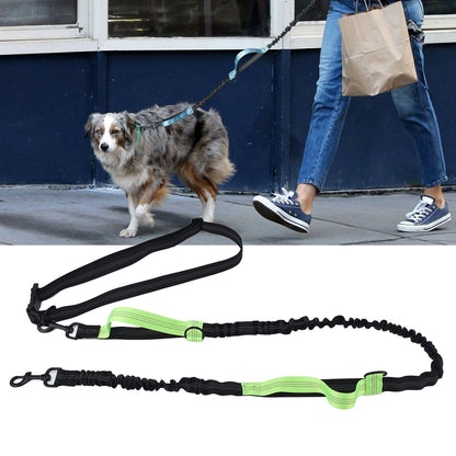 Reflective Retractable Pet Leash | Green