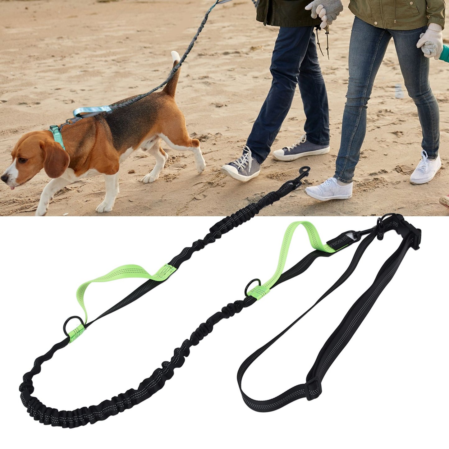 Reflective Retractable Pet Leash | Green