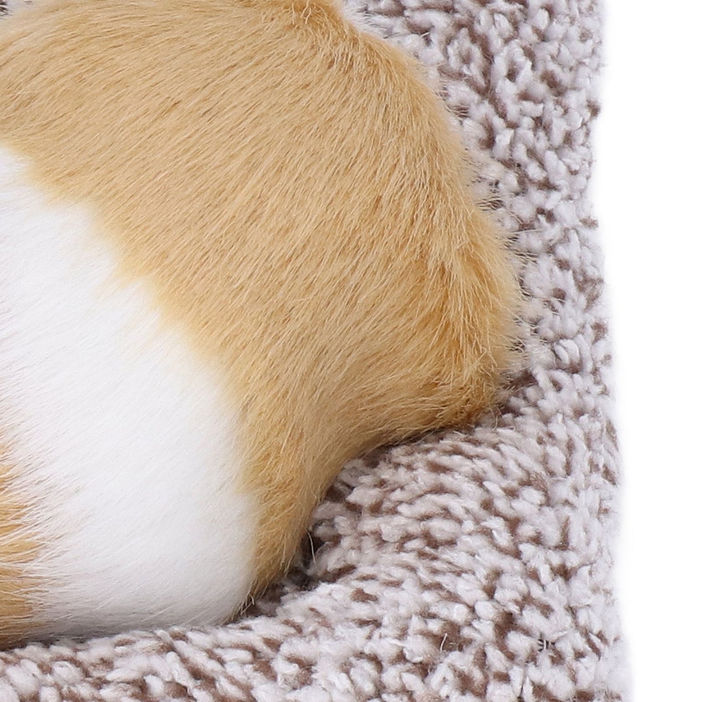 Realistic Sleeping Dog Adorable Sleeping Puppy Children Toys
