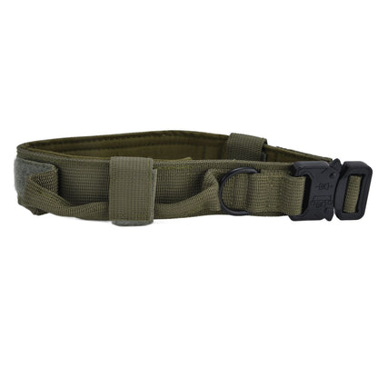 Traction Dog Collar with Buckle Nylon Iron Training Hunting Collar Pet