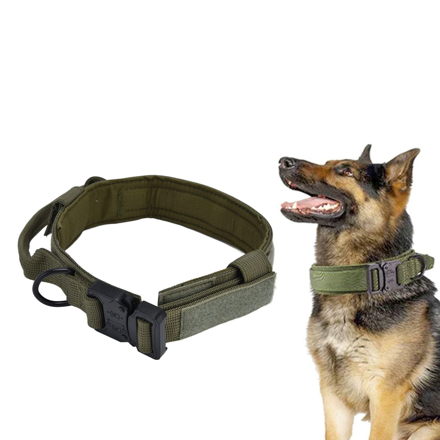 Traction Dog Collar with Buckle Nylon Iron Training Hunting Collar Pet