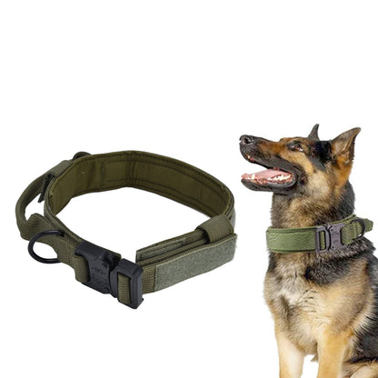 Traction Dog Collar with Buckle Nylon Iron Training Hunting Collar Pet