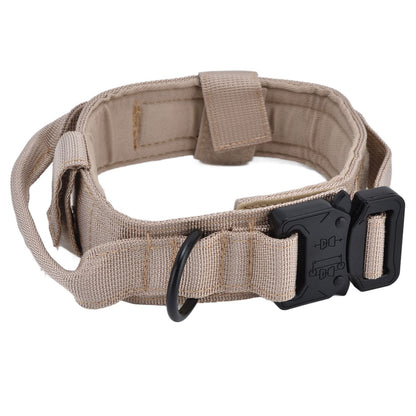 Traction Dog Collar with Buckle Nylon Iron Training Hunting Collar Pet | XL