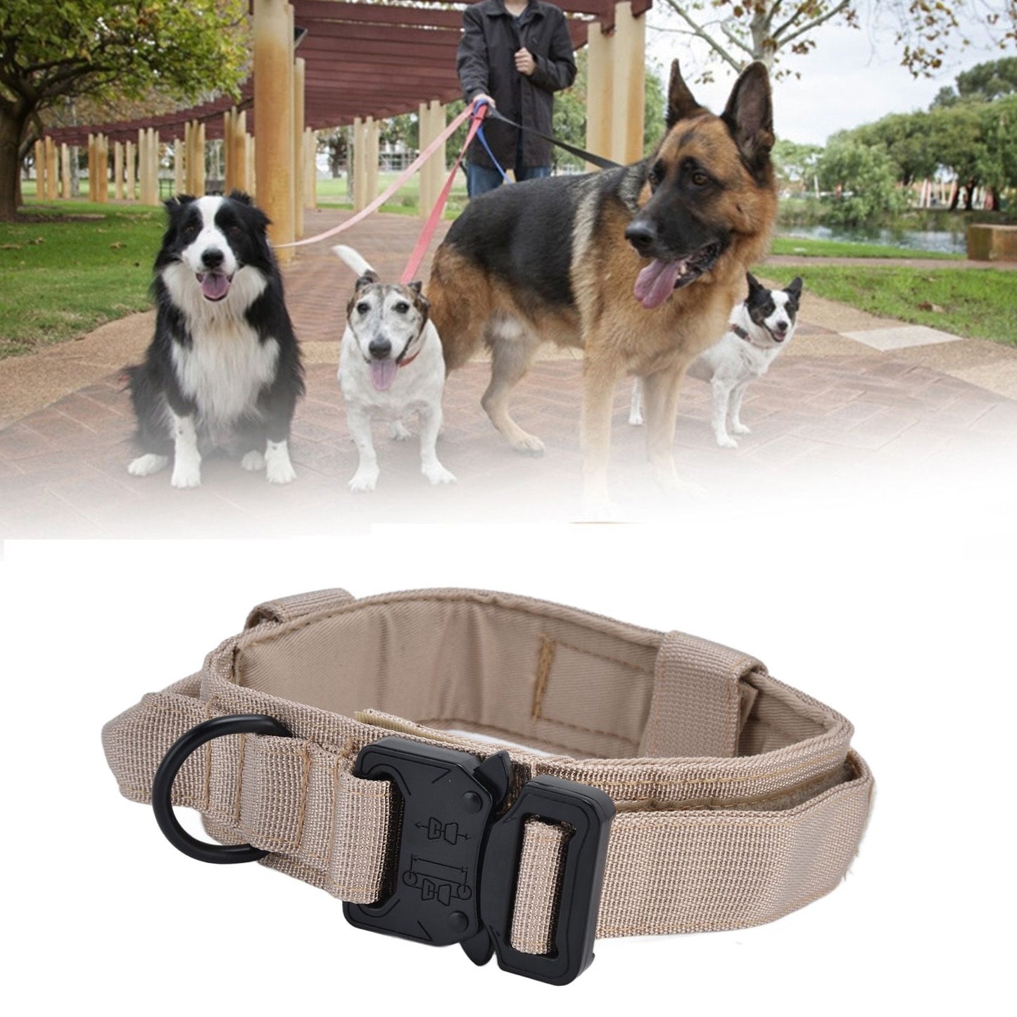 Traction Dog Collar with Buckle Nylon Iron Training Hunting Collar Pet | XL