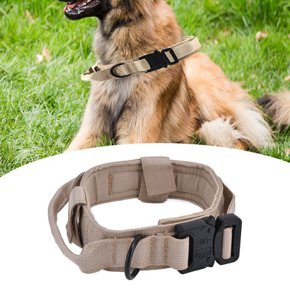 Traction Dog Collar with Buckle Nylon Iron Training Hunting Collar Pet | XL