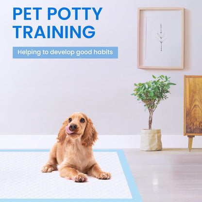 50-Pack Pet Training Pads | Super Absorbent | 60x90cm | Dog & Cat