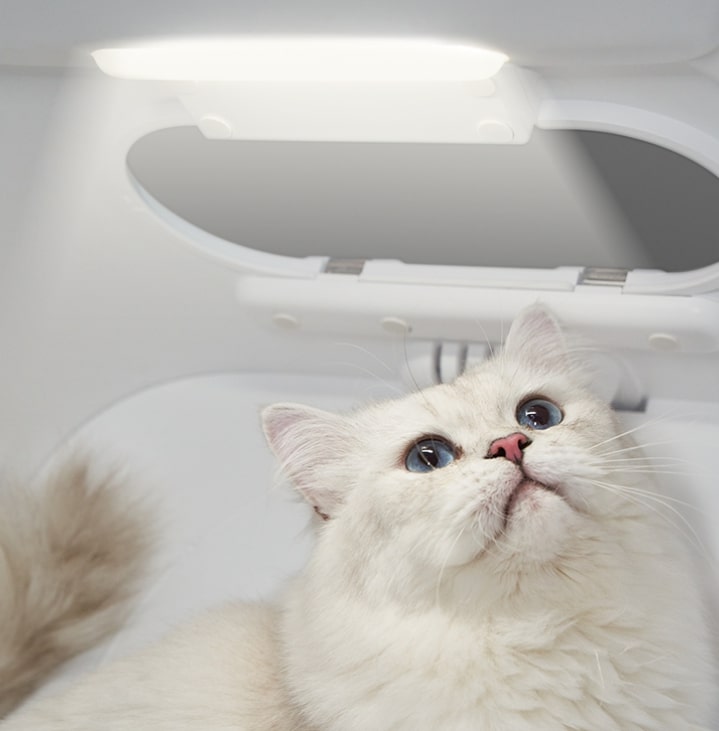 PETKIT AIRSALON Smart Pet Dryer Box | Automated Drying & Grooming